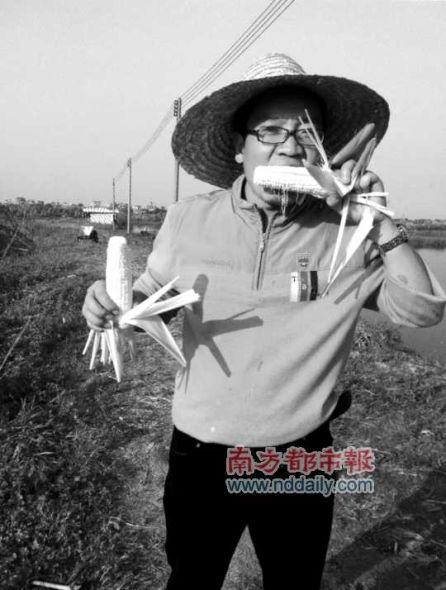 吕基富