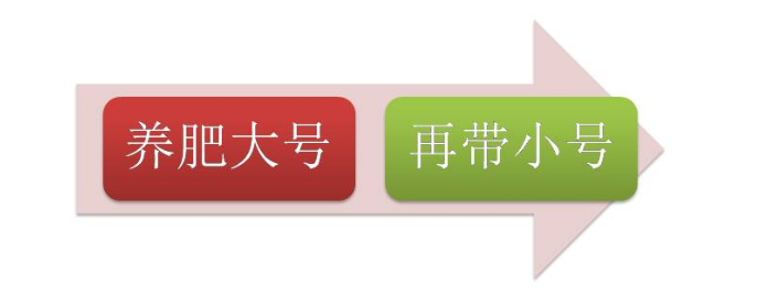 养号派的策略