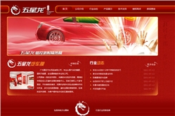 五星龙汽车膜