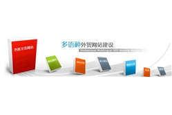 外贸网站建设