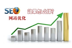 广州网站seo优化推广